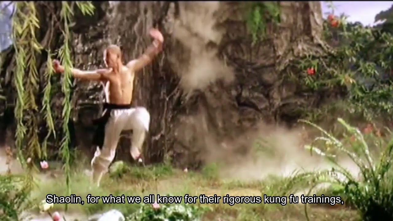 Neigong (internal arts) from Shaolin