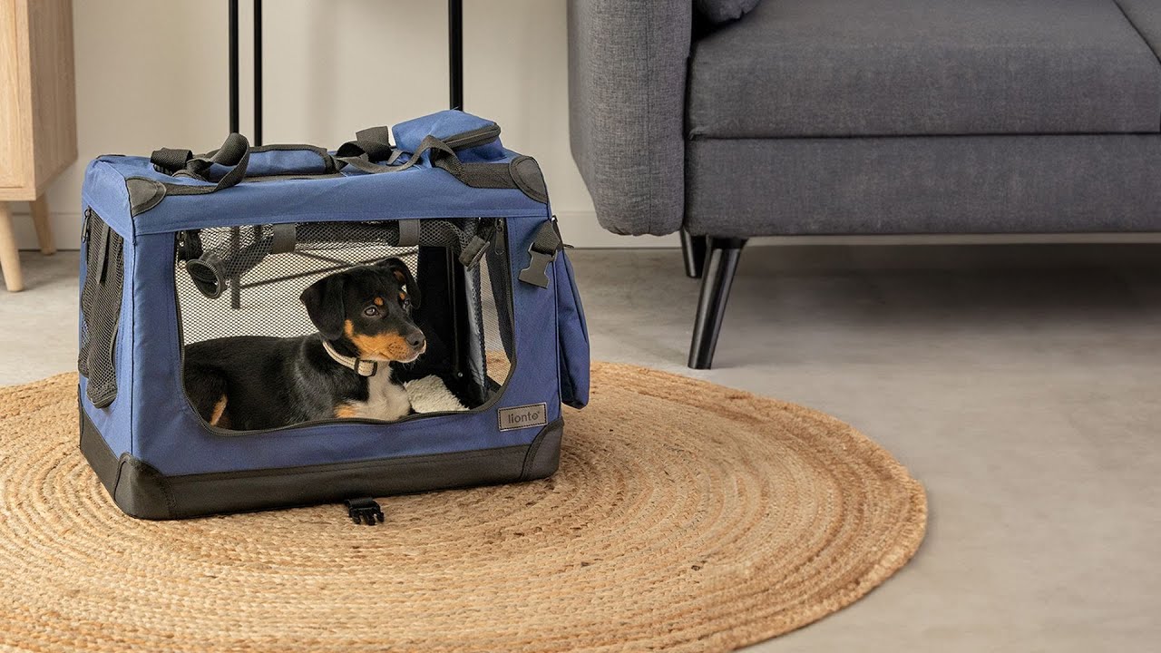 Faltbare Transportbox |  TB100 |  lionto