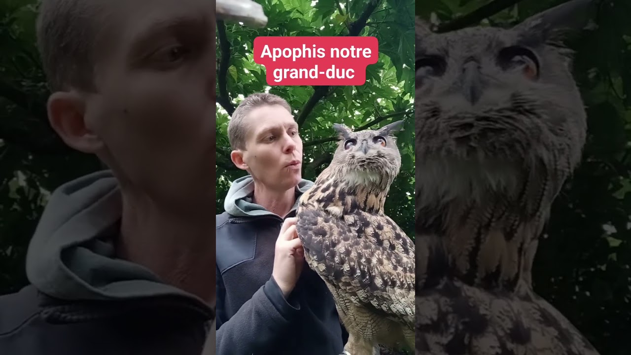 Apophis, notre grand-duc européen. 
