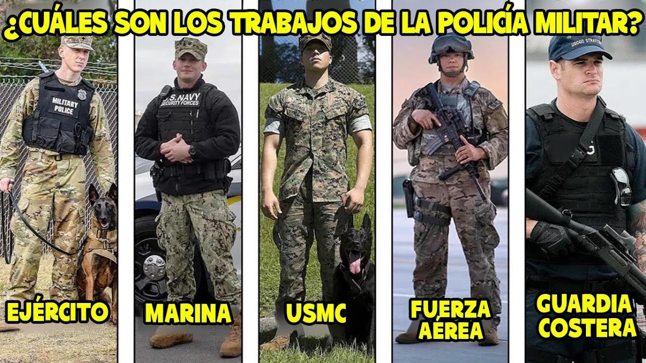Todos los trabajos de la Policía Militar de EE. UU. explicados