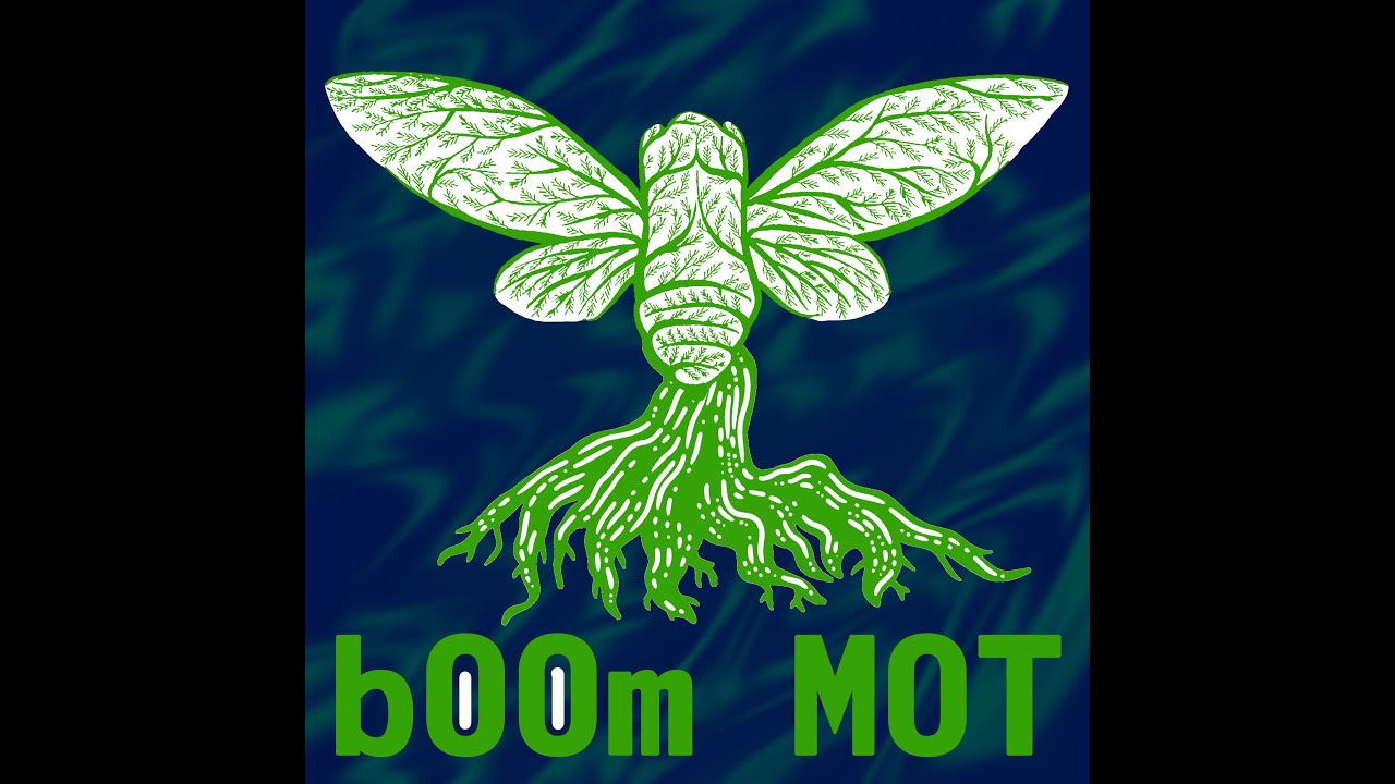 Turbo Championship B -LEAGUE