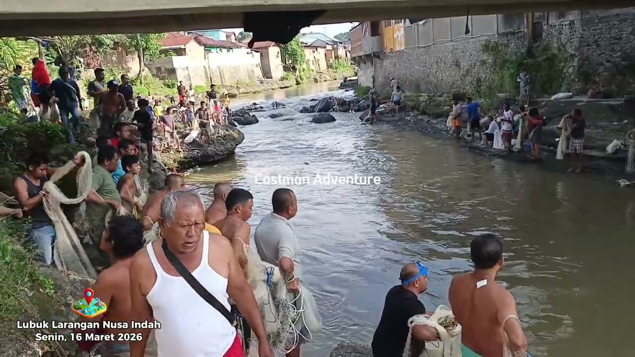 KEARIFAN LOKAL ! JALA IKAN DI SUNGAI LARANGAN NUSA INDAH, DAPAT BANYAK IKAN BESAR (16/03/26) 
