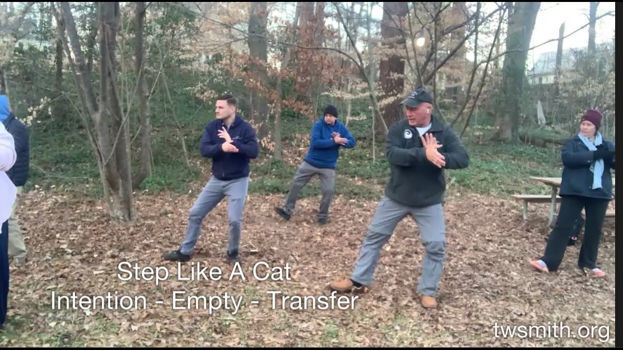 Stepping Like a Cat in Practice