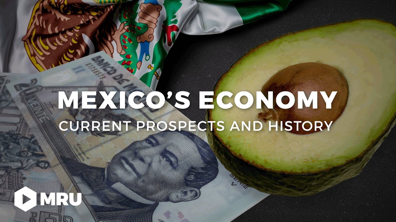 The Mexican Miracle? The Lead-Up to the Tequila Crisis