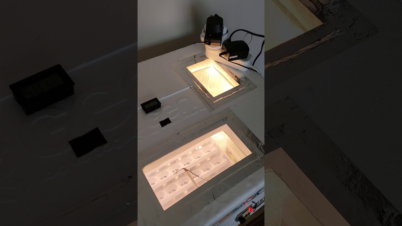 strafordan kuluçka makinası yapimi