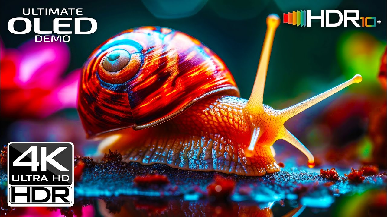 Breathtaking 4K 60fps HDR Test | Best of 4K UHD OLED Display Test (4K/8K TV)