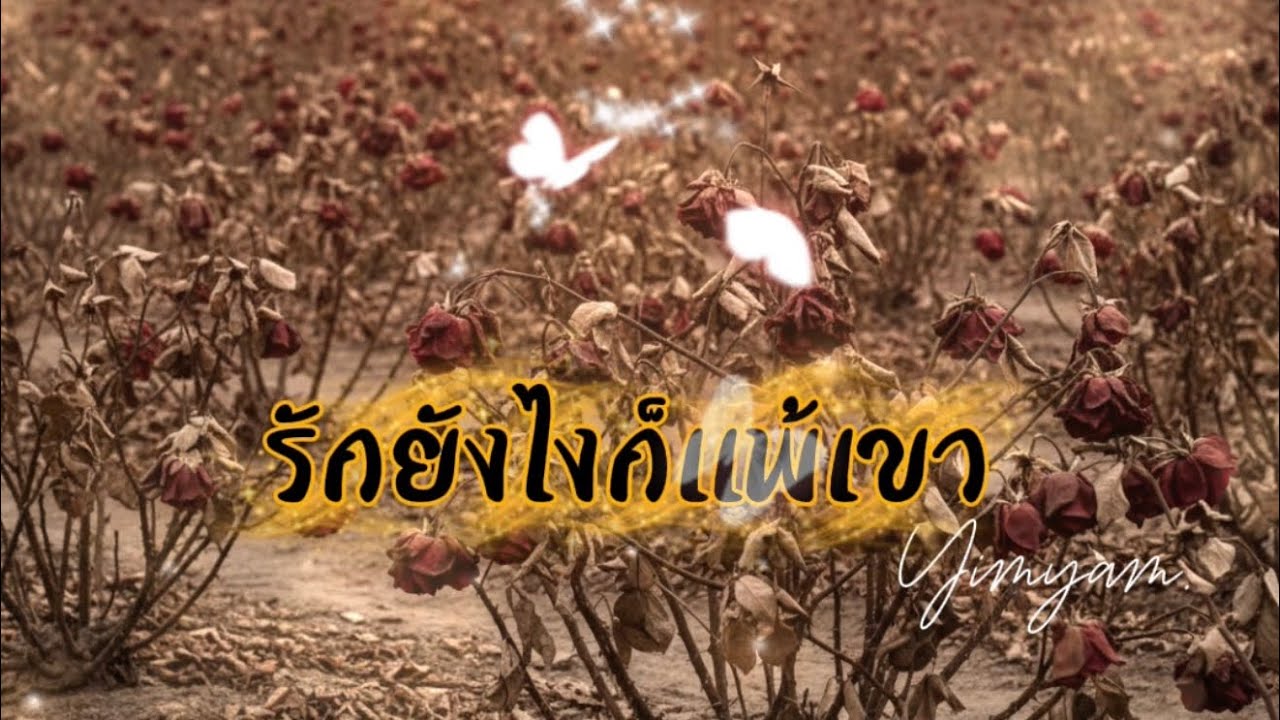 รักยังไงก็แพ้เขา (OFFICIAL AUDIO) lyrics By yimyammusic #aimusic 