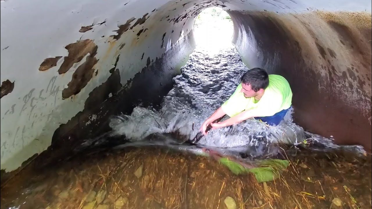 Completely Removing Beaver Dam To Drain Flooded Street