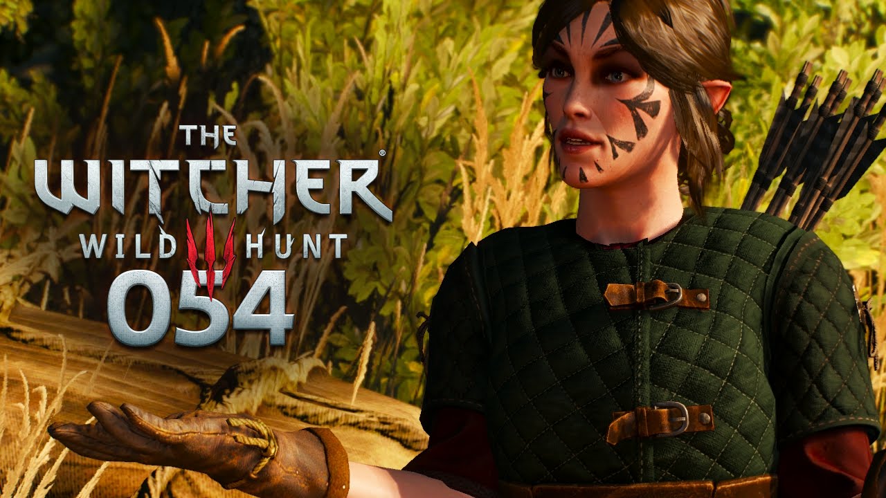 WITCHER 3 [054] - Mörder gegen Mörder ★ Let's Play The Witcher 3