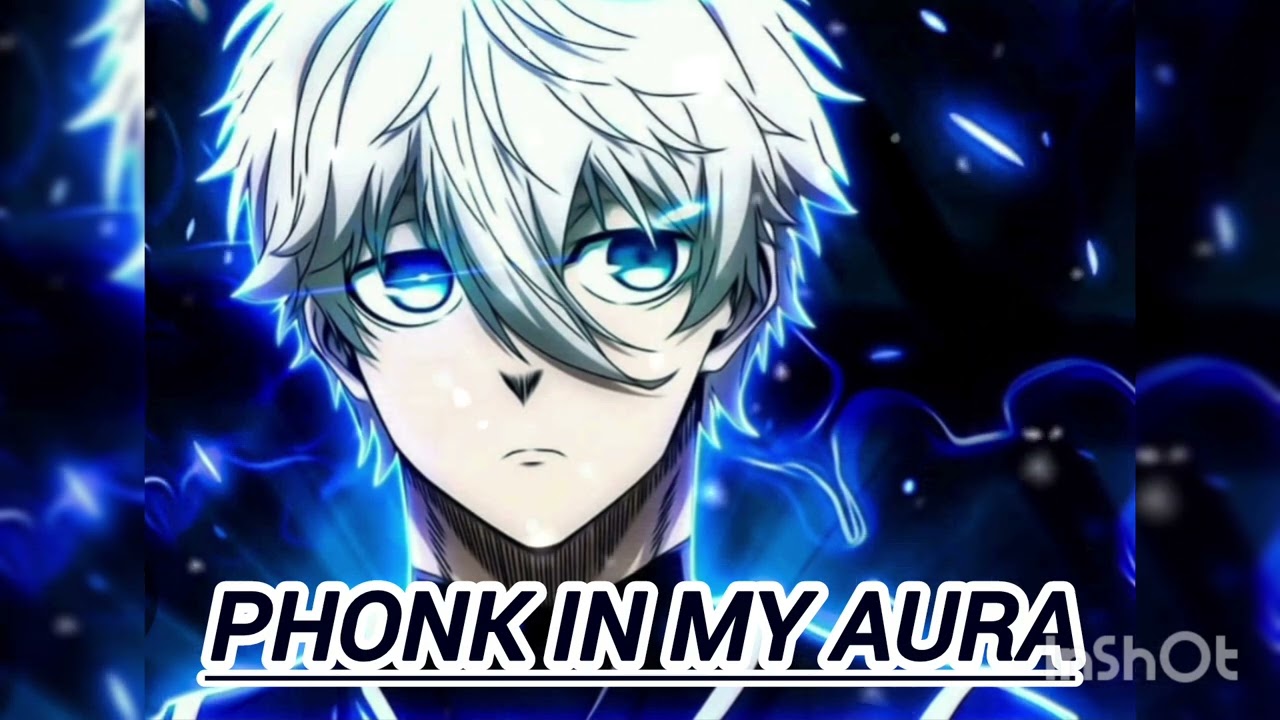 Phonk in my Aura #music #phonkagressive #phonk #everybodywantstobemyenemy 