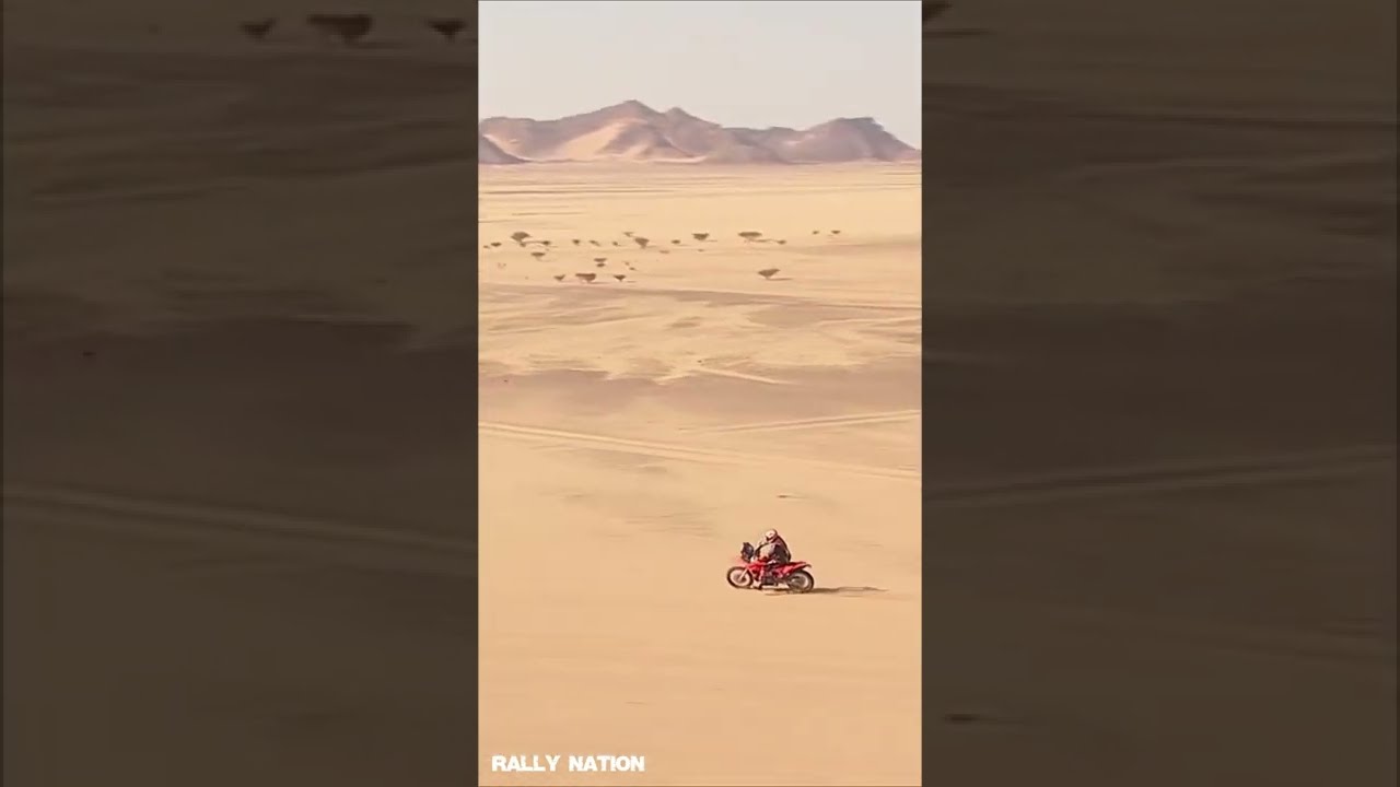 Dakar Rally - Sweet Victory from Danilo Petrucci in Dakar Rally 2022 #shorts #dakar #rally #petrux
