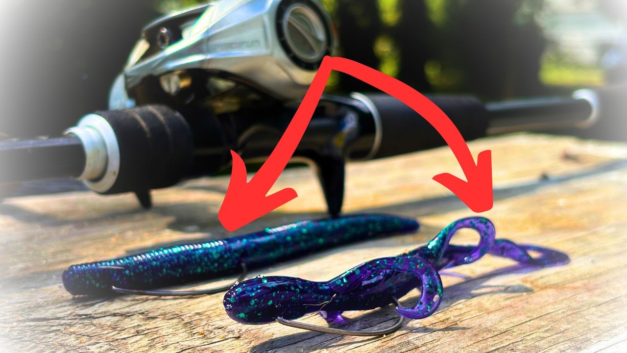 This is Why You’re Getting Skunked in LATE Summer [2025]