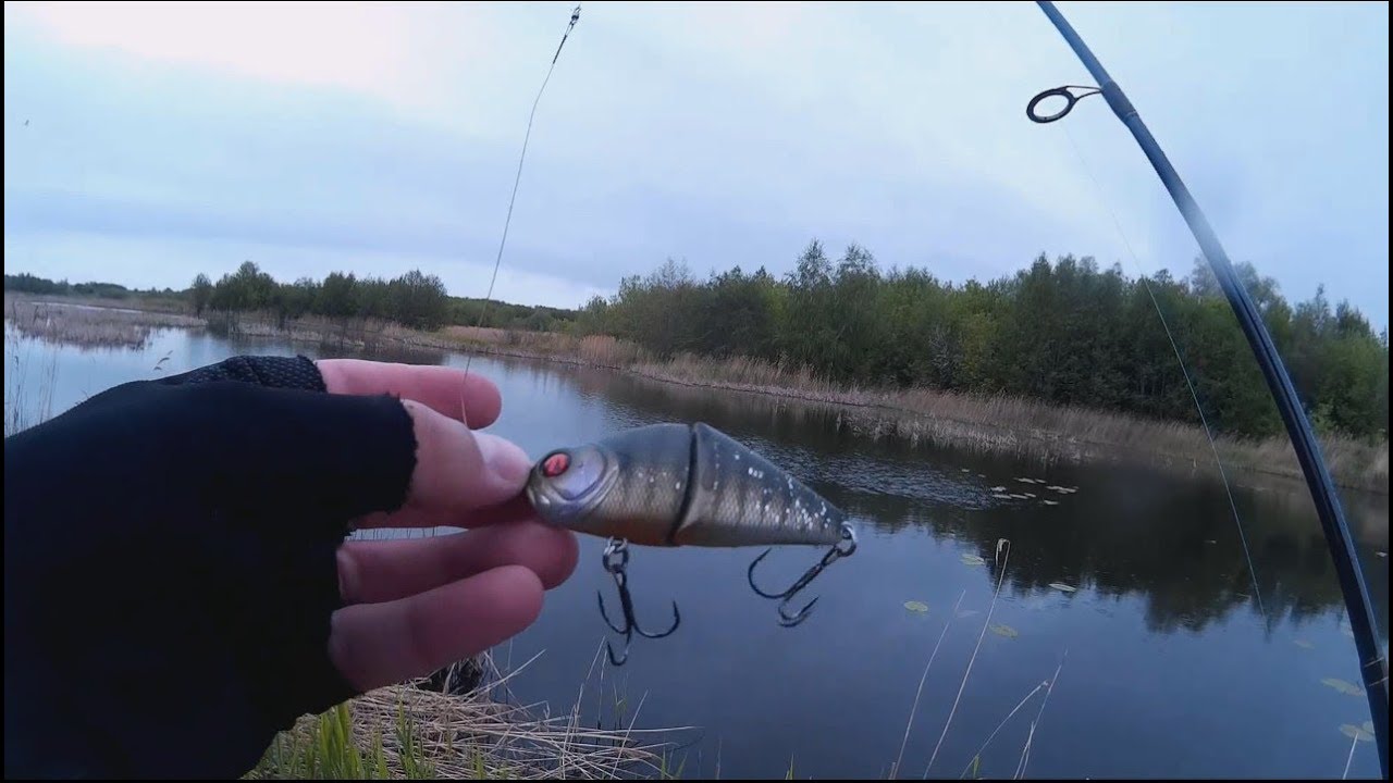 Ловля щуки на спиннинг. Щучий воблер Pontoon 21 Bully Boo 75SS