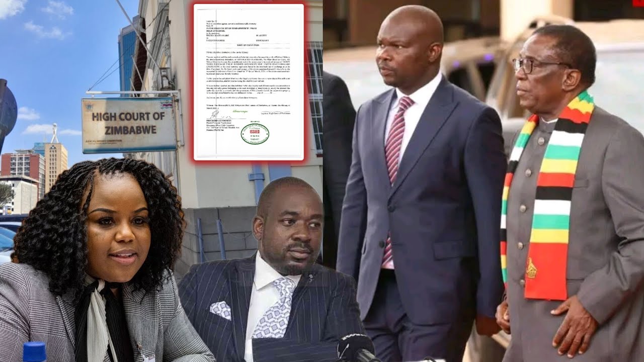 Mnangagwa Targets Fadzayi Mahere Over ZANUPF 2030 After Machakaire Lawsuit Over last year case