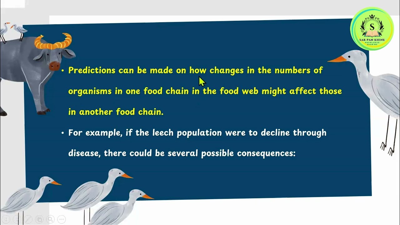 Grade 11 Biology Chapter 6 Environmental Biology_ 6.2.1 Feeding Relationship