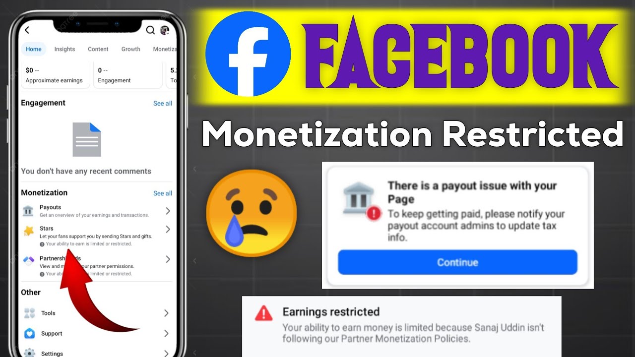 Your Ability To Earn Is Limited Or Restricted | There Is a Payout Issue With Your Page
