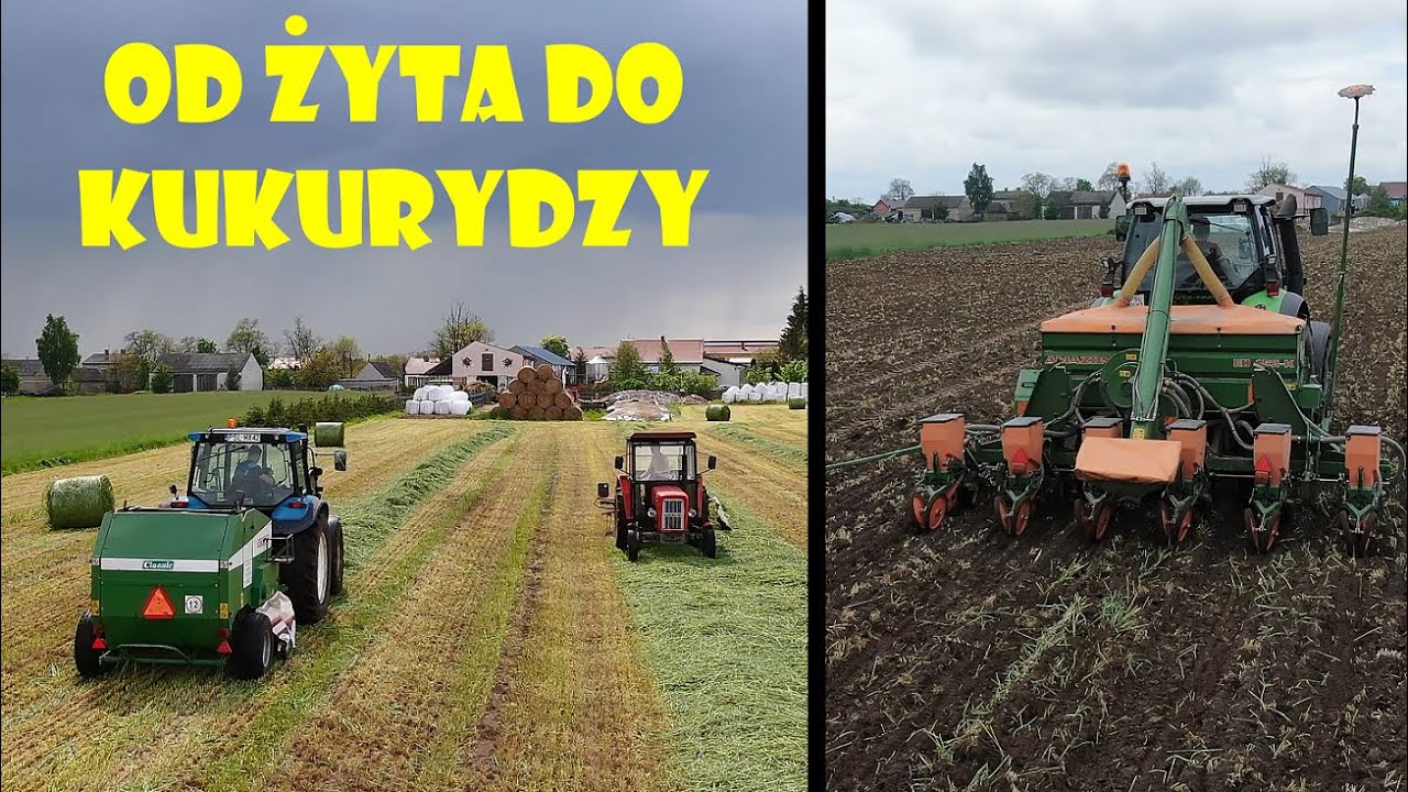 🌾OD ŻYTA DO KUKURYDZY🌽MAJOWE ŻNIWA😃Agro Kuzyni