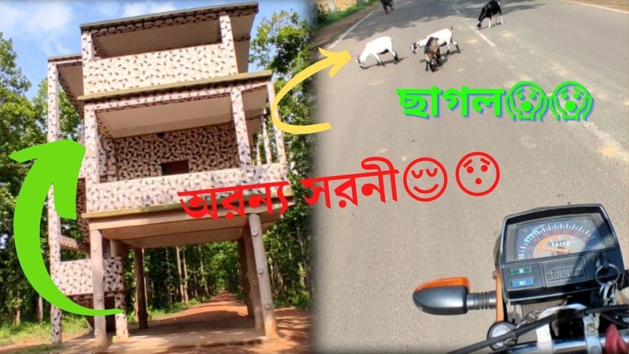 অরন্য সরনী In Bankura 😍  ।। Aranya Sarani ❤ ।। Bengali Rider Vlog ❤
