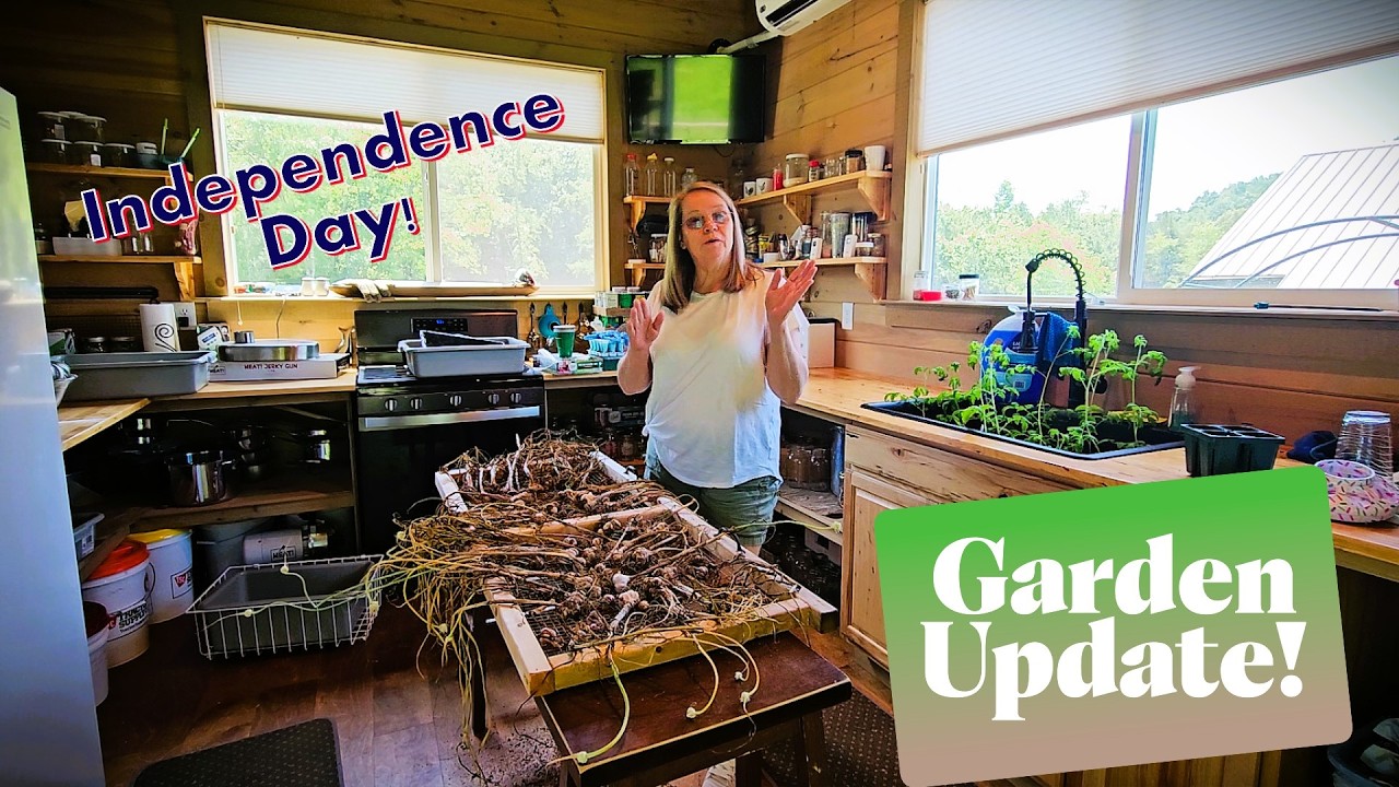 Independence Day & A Garden UPDATE!