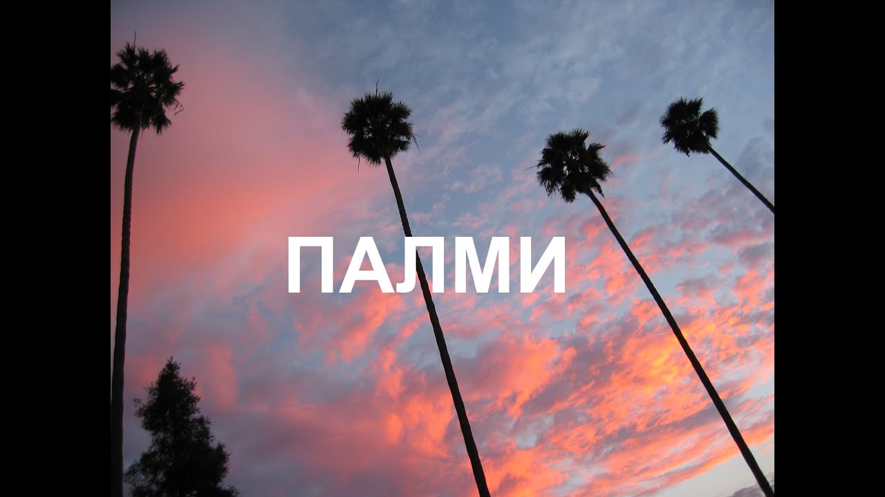 Tha Titanium - Palmi ft. Mario Angelevski