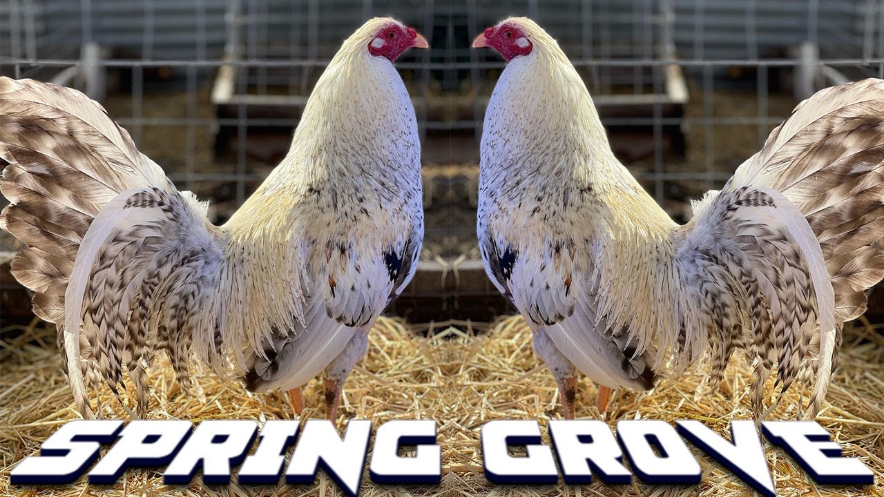 Beautiful Dom California Spring Grove Farm | Farm Visit