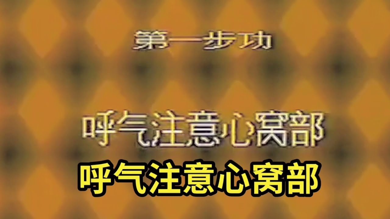 一：呼气注意心窝部/真气运行法 李少波