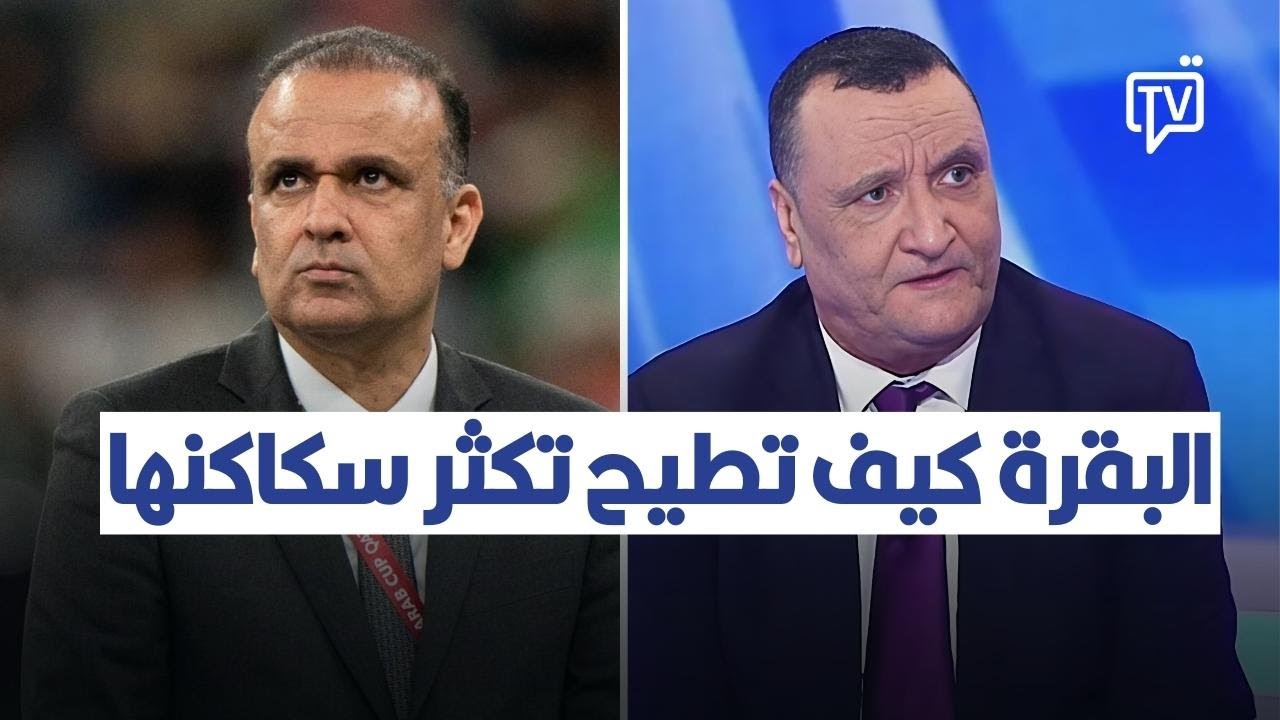 العميد خليفة الشيباني يعلق على قضية وديع الجرئ  البقرة كيف تطيح تكثر سكاكنها