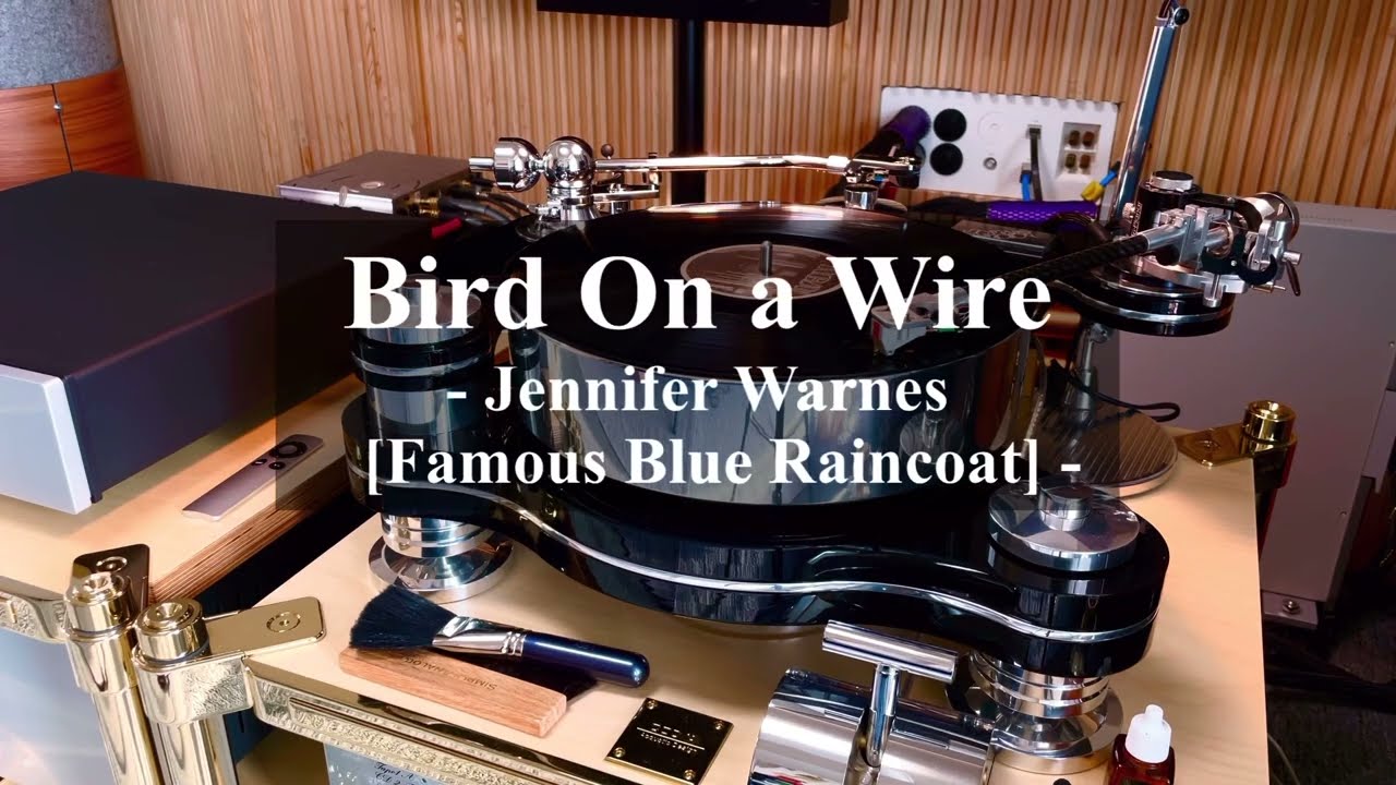 Transroter Rondino Nero FMD + Tri planar U12 + EMT JSD5 / Bird on a wire