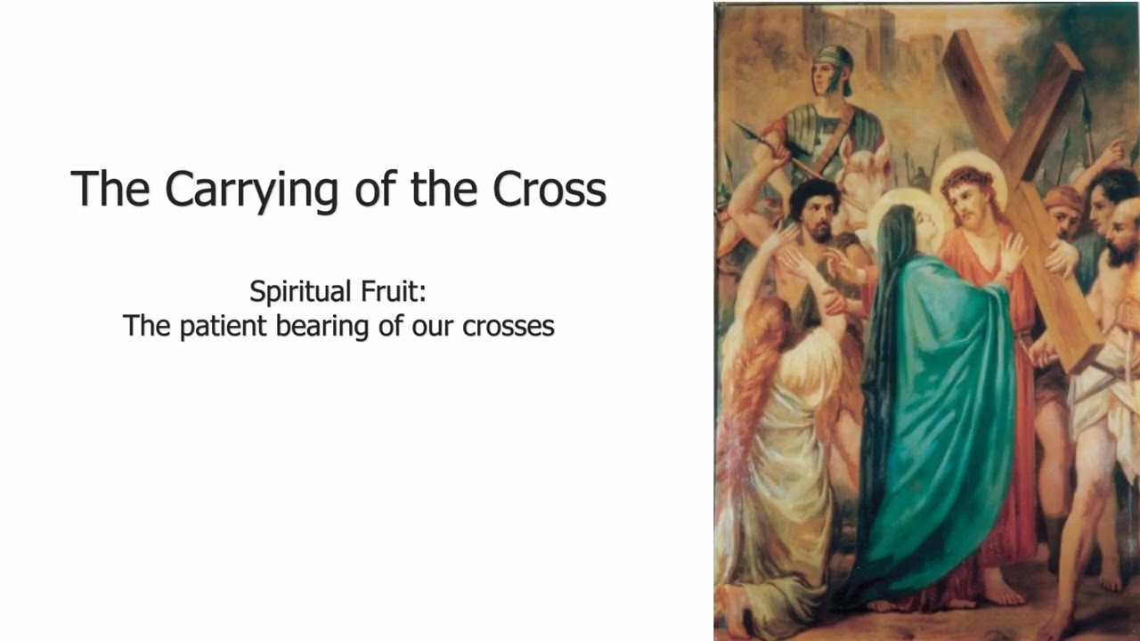 Rosary for February 6, 2026