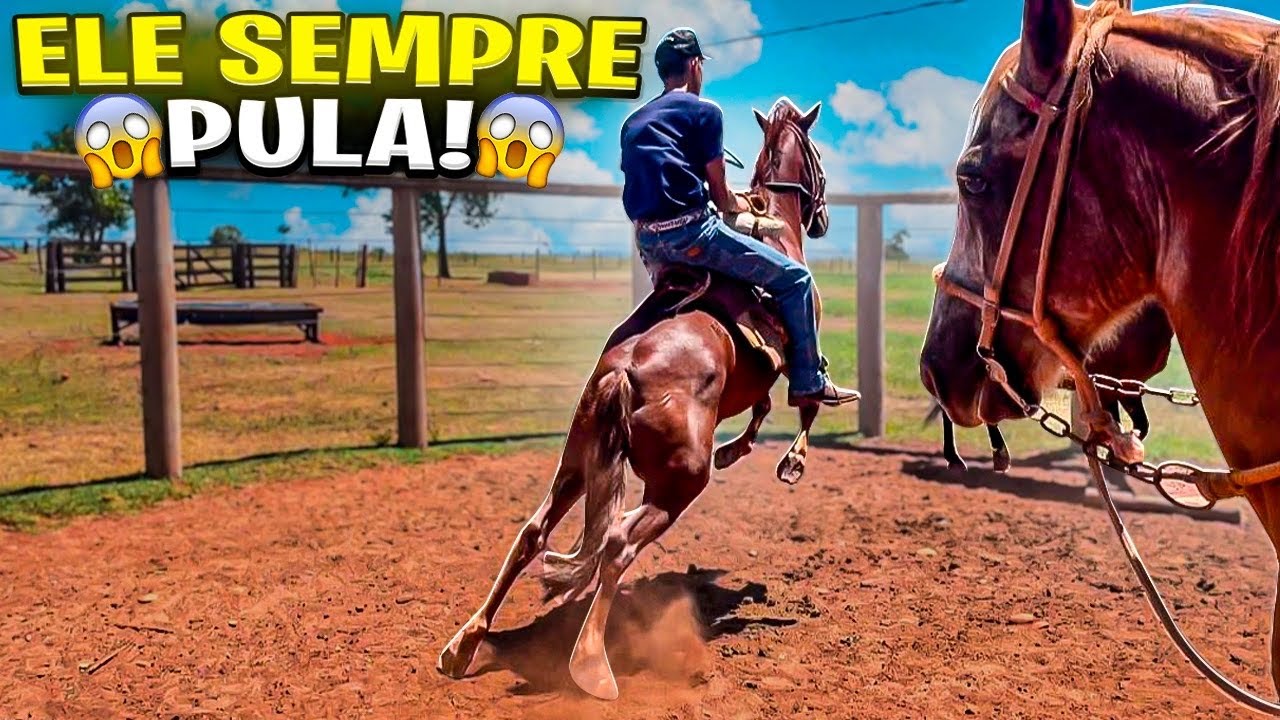 FUI NA FAZENDA MUNTAR NO CBT