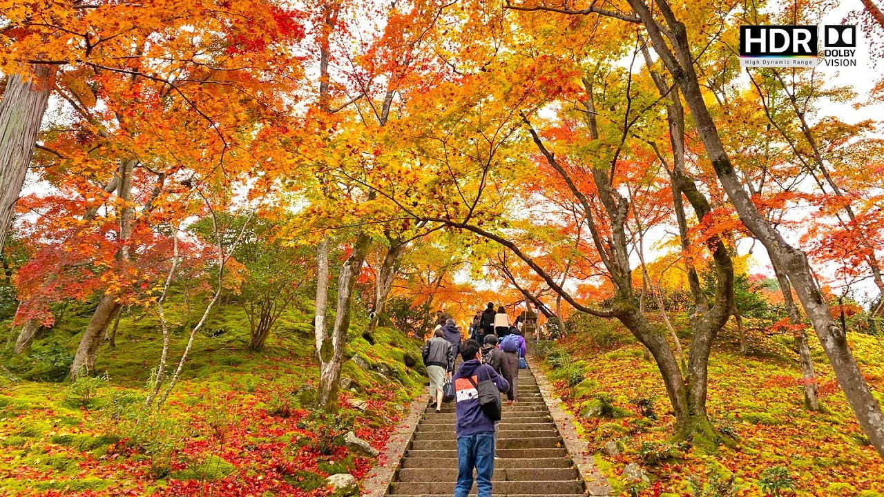 Fall Foliage At Jojakkoji Temple, Arashiyama, Kyoto