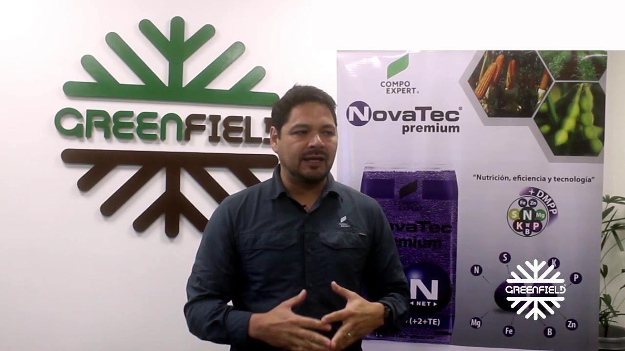 GREENFIELD  -  NOVATEC