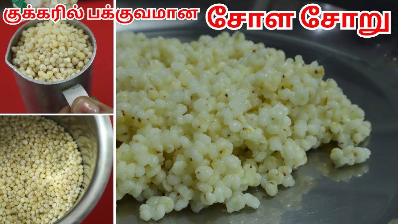 சோள சோறு குக்கரில் !!  இதுதான் அளவு &  நேரம் | Sola Soru | Sorghum Rice | சோள சாதம் | Cholam Rice