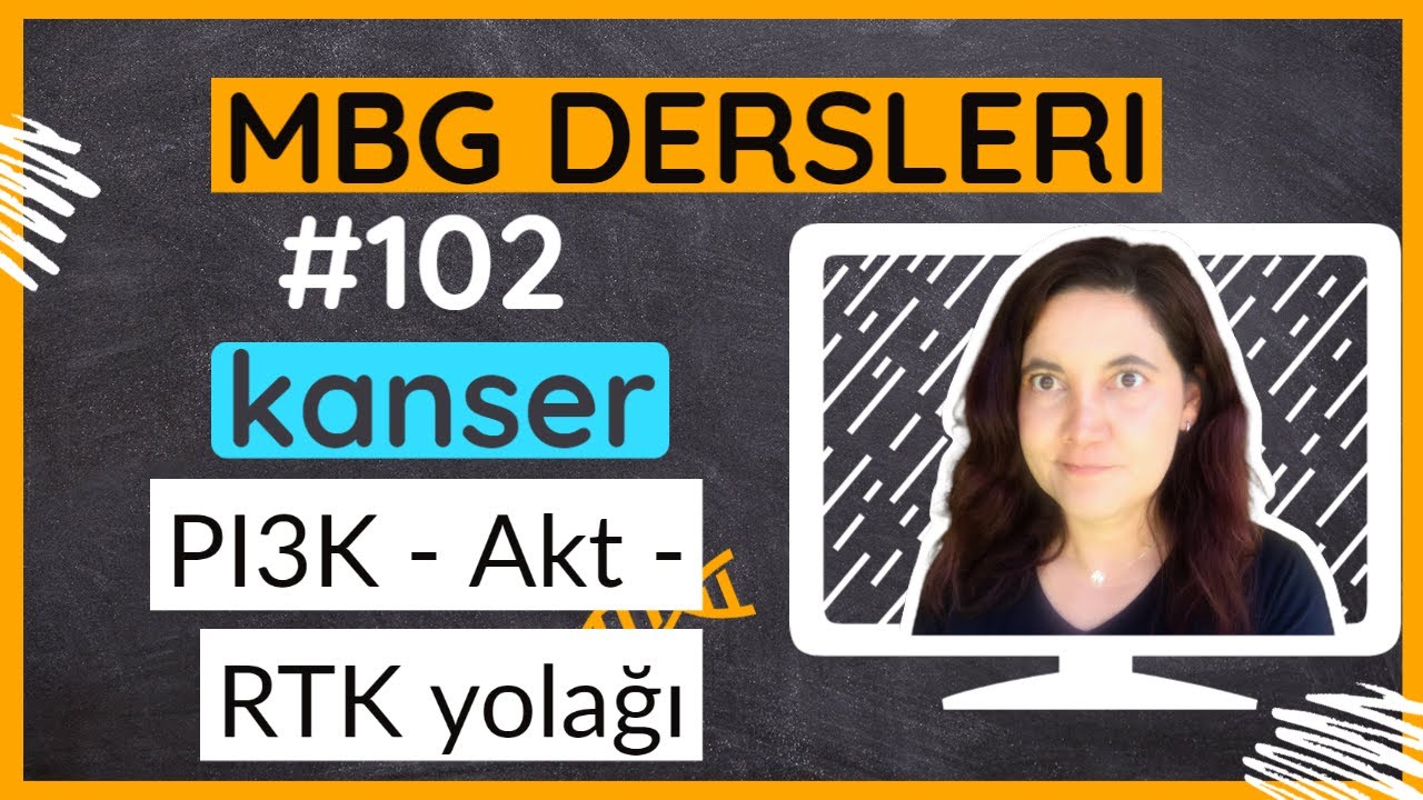 Kanser: PI3K - Akt - RTK yolağı