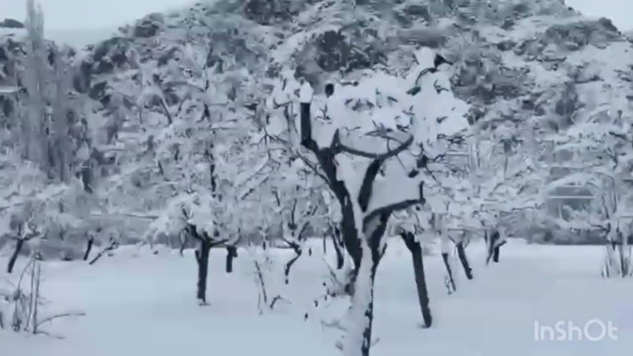 Booni Snow fall on 23/1/26