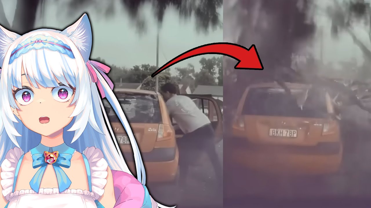 HE WAS SAVED BY A WALLET! | Milky Mew reacts to Craziest Nature Videos of the Decade