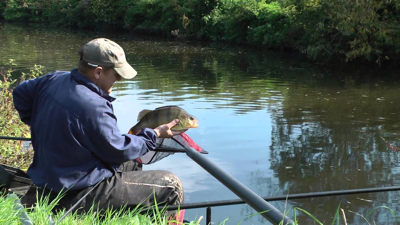 ANGLING TRUST RIVERFEST 2015 RIVER MEDWAY .