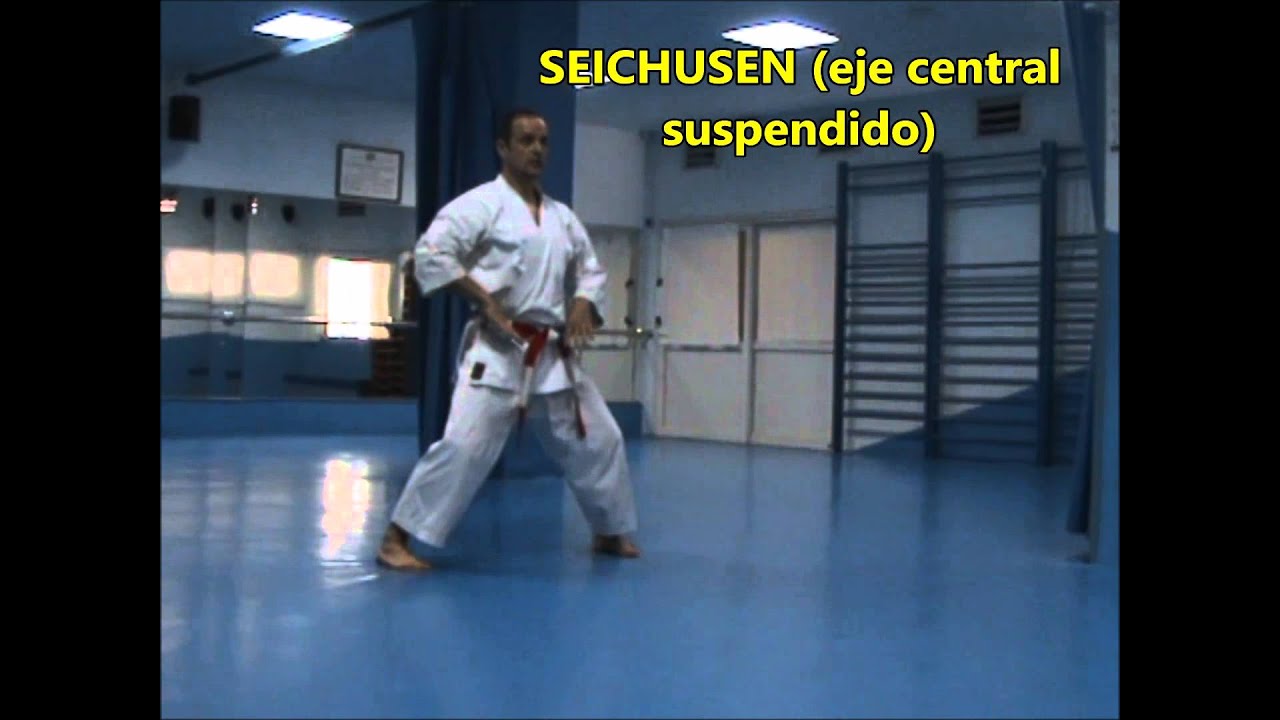 La cadera en el karate  TEGUMI  Félix Bargados