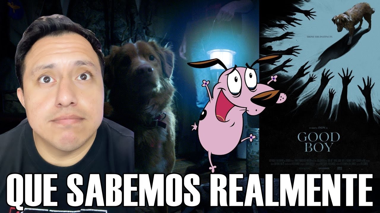 GOOD BOY: Que sabemos Realmente de esta película y que es mentira
