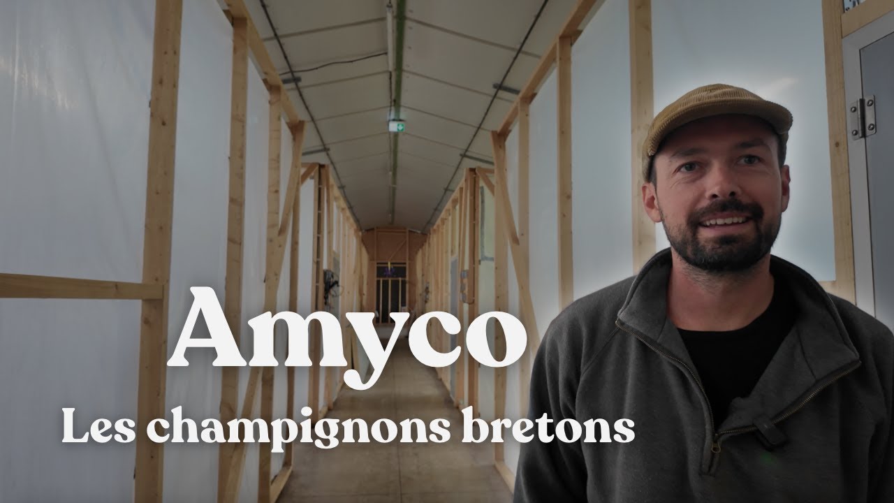 Une champignonnière dans un poulailler - Amyco [interview]