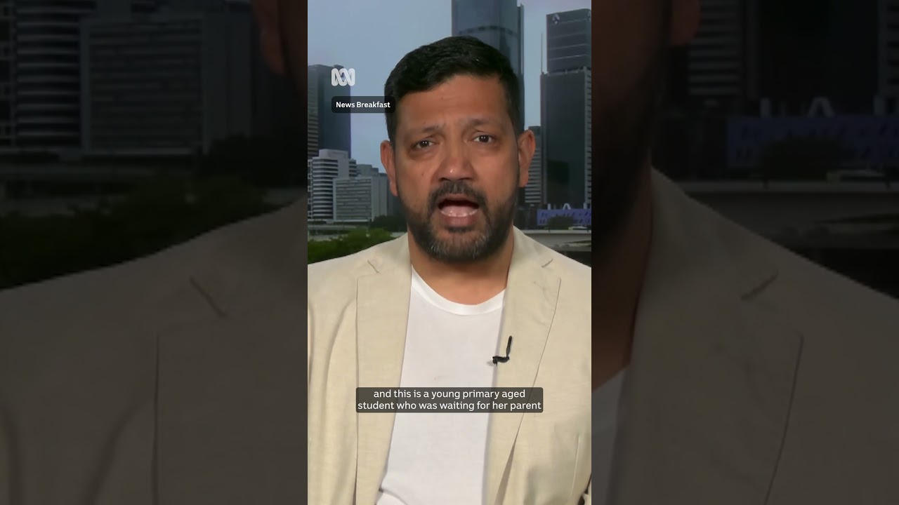 How does Pauline Hanson's burka stunt affect Muslim Australians? | ABC NEWS