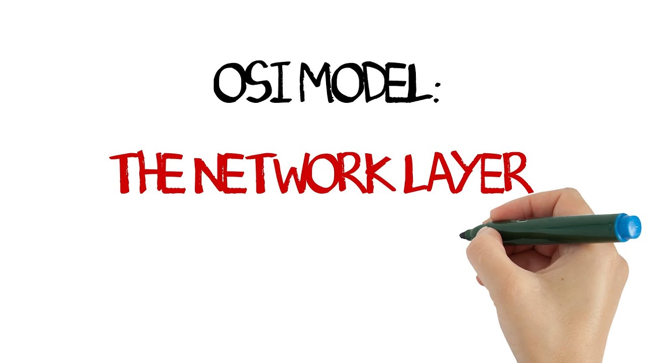 OSI Model: The Network Layer