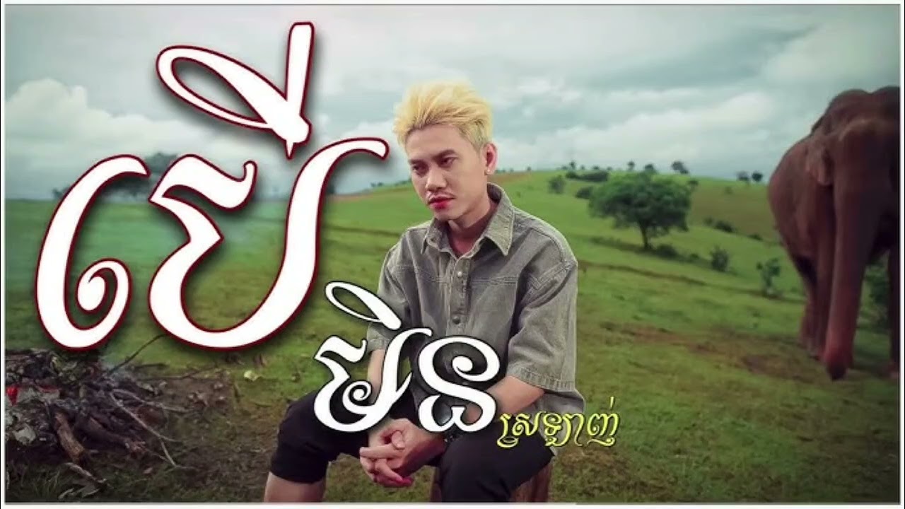 បើមិនស្រឡាញ់ ច្រៀងដោយ នាង ដាវីន