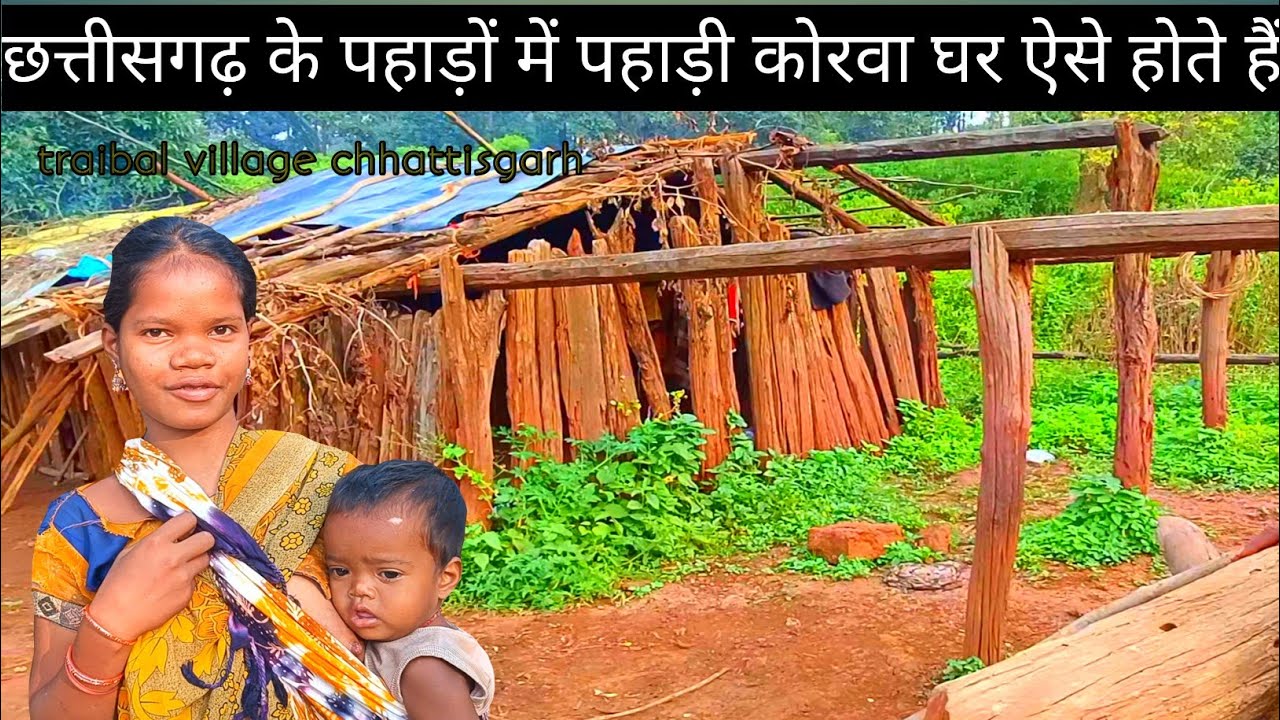2026 में पहाड़ी कोरवा जनजाति का अदृश्य जीवन: एक ऐसा सच जो आपको झकझोर देगा! Korwa Traibal village 