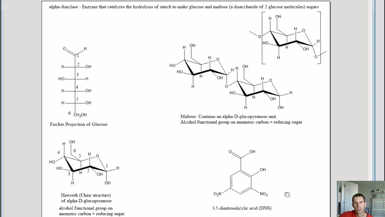 alpha-Amylase assay. Effects of Enzyme Concentration, Temperature, and pH