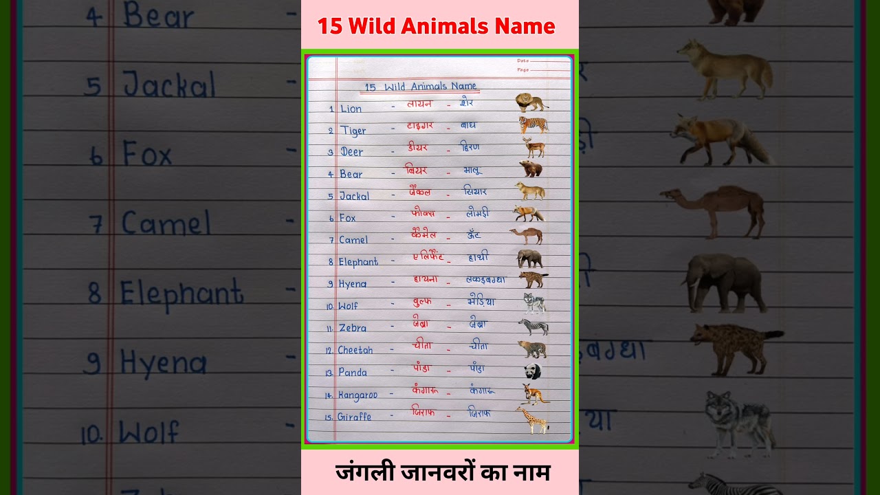 15 Wild Animals Name in English and Hindi | जंगली जानवरों का नाम | Wild Animals Name #shorts #short