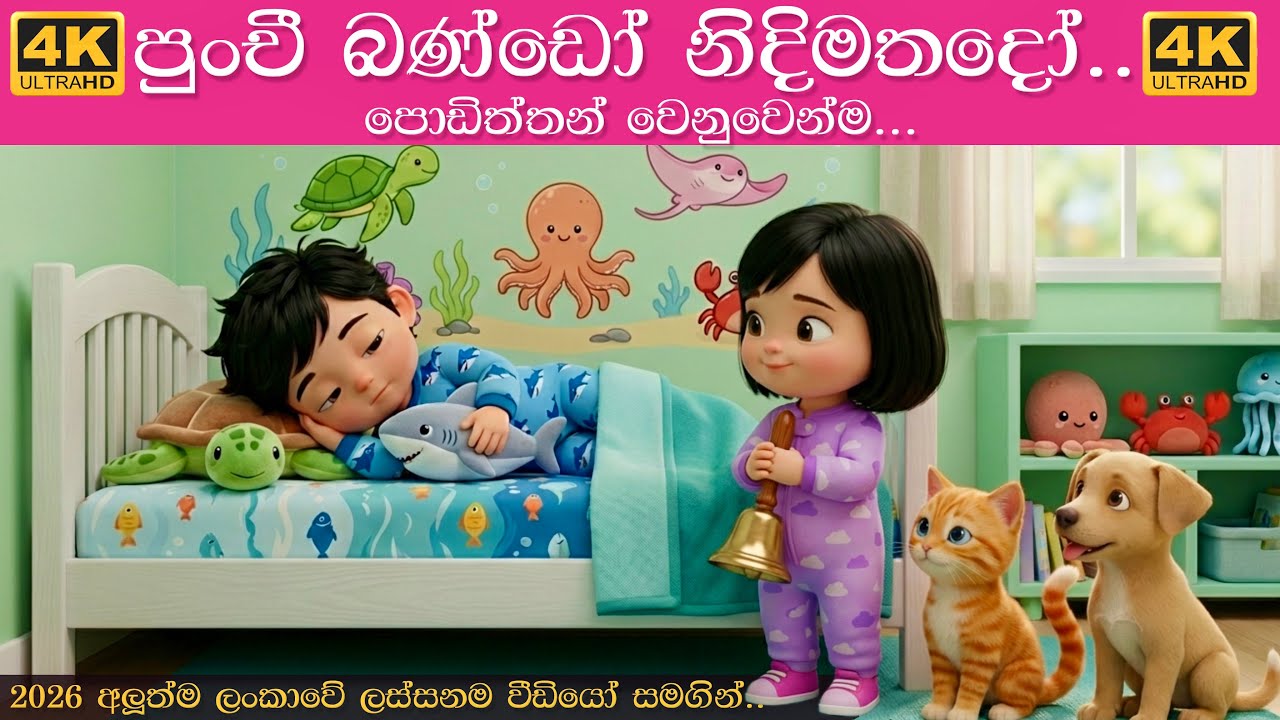 Punchi Bando.. Punchi Bando Nidimathado? පුංචී බණ්ඩෝ නිදිමතදෝ?