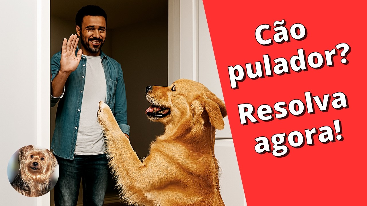 “Por Que Seu Cão Pula nas Visitas — Mude Isso Rápido”