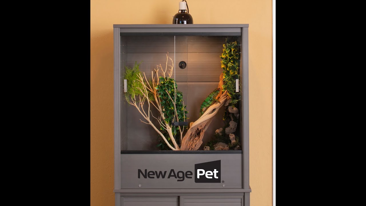 Madagascar Reptile Lounge