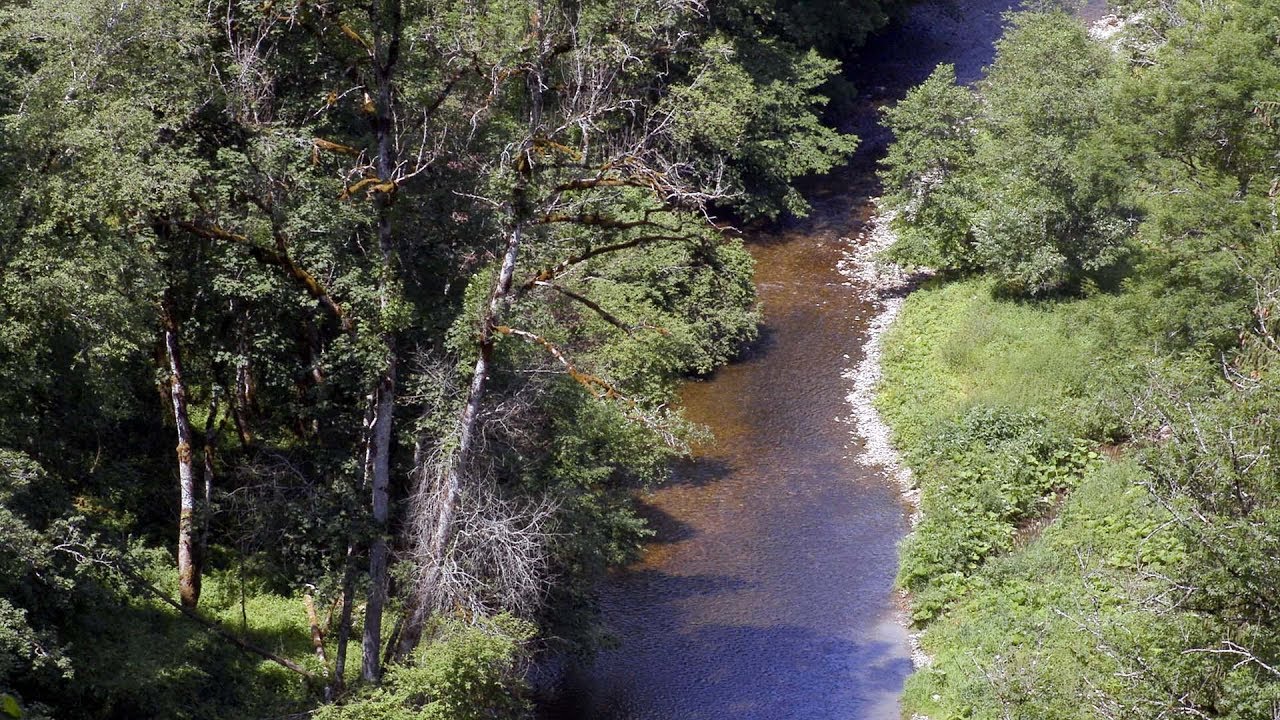 Deutschlands letzte Wildflüsse: Wutachschlucht